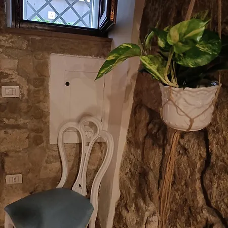Apartment Shs *